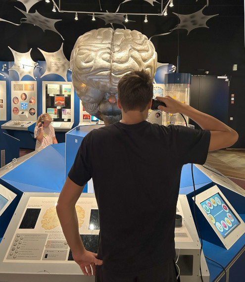 Raziskovanje delovanja človeških možganov v prirodoslovnem muzeju