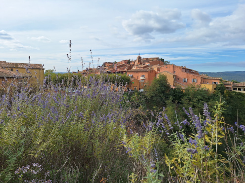 Za omamne dišave v pokrajini poskrbi sivka.