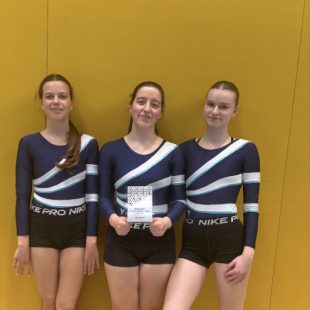 Dijakinje Gimnazije Ledina, ki so na ekipnem državnem tekmovanju v športni gimnastiki zasedle 2. mesto v rokah držijo priznanje za svoj dosežek.