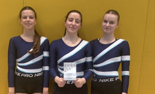 Dijakinje Gimnazije Ledina, ki so na ekipnem državnem tekmovanju v športni gimnastiki zasedle 2. mesto v rokah držijo priznanje za svoj dosežek.