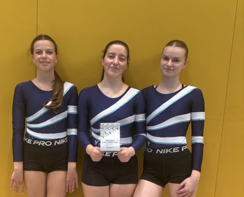 Dijakinje Gimnazije Ledina, ki so na ekipnem državnem tekmovanju v športni gimnastiki zasedle 2. mesto v rokah držijo priznanje za svoj dosežek.