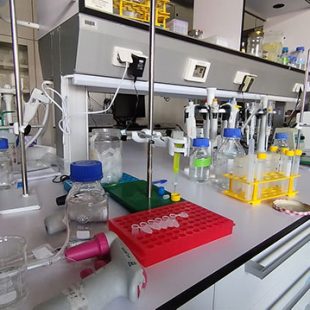 Laboratorijska delovna miza, napolnjena z raznovrstno opremo, kot so pipete, steklenice, rdeča in rumena stojala z epruvetami ter menzure.