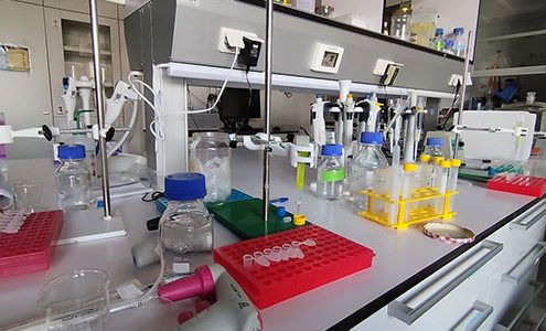 Laboratorijska delovna miza, napolnjena z raznovrstno opremo, kot so pipete, steklenice, rdeča in rumena stojala z epruvetami ter menzure.
