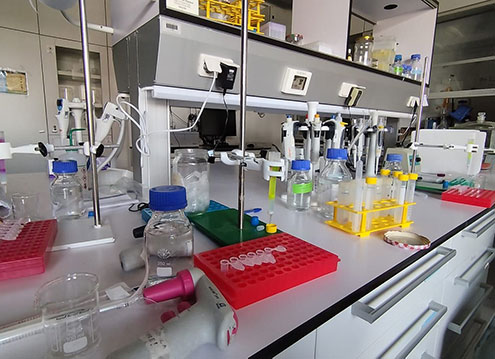 Laboratorijska delovna miza, napolnjena z raznovrstno opremo, kot so pipete, steklenice, rdeča in rumena stojala z epruvetami ter menzure.