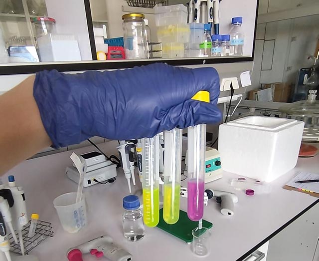 Roka v modri rokavici drži stojalo s tremi epruvetami, napolnjenimi s svetleče rumeno in vijolično tekočino. V ozadju je opaziti laboratorijsko mizo z opremo.